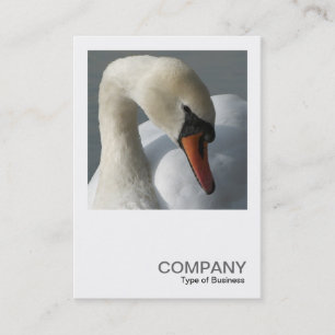 Square Photo 0349 - Swan Business Card