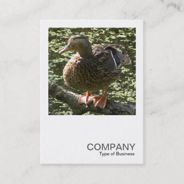 Square Photo 0351 - Happy Duck Business Card (Front)