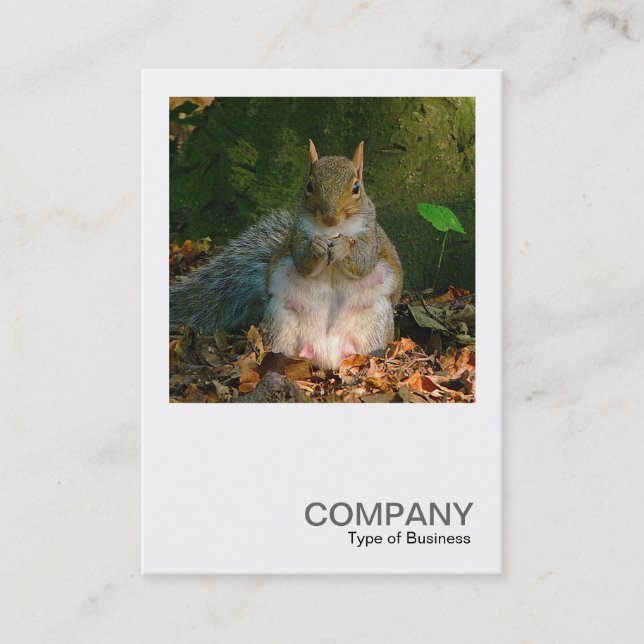 Square Photo 0355 - Grey Squirrel Business Card (Front)
