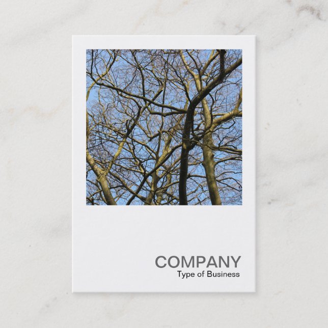 Square Photo 0384 - Branches Business Card (Front)