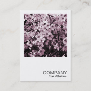 Square Photo 041 - Cherry Blossom Business Card