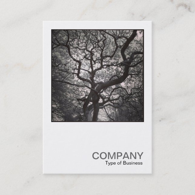 Square Photo 0464 - Magnolia Tree in Blossom Business Card (Front)