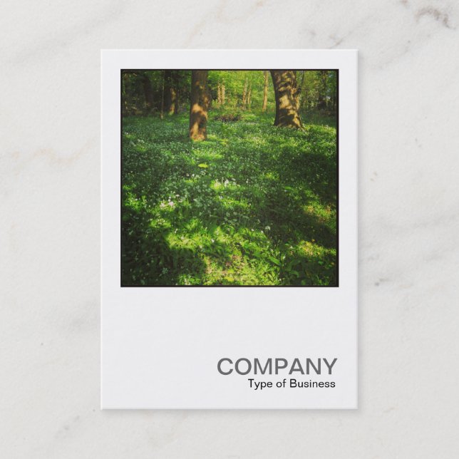 Square Photo 0469 - Spring in the Woods Business Card (Front)