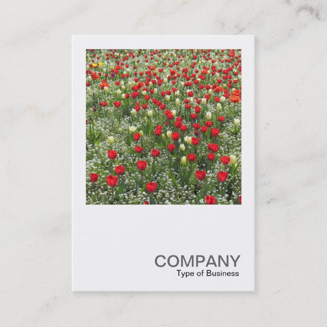 Square Photo 0509 - Bed of Tulips Business Card (Front)