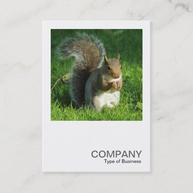 Square Photo 0552 - Grey Squirrel Eating Nuts Business Card (Front)