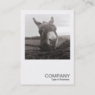Square Photo 0589 - Friendly Donkey Business Card