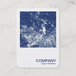 Square Photo 0593 - Woodland Canopy 02 - Cyanotype Business Card