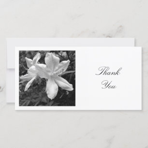Square Photo - Azaleas Thank You Card