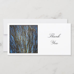 Square Photo - Branches Thank You Card