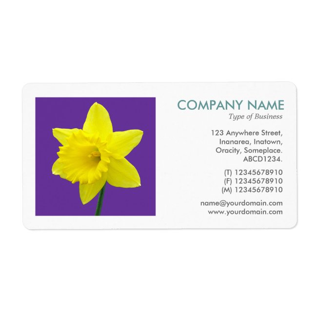 Square Photo - Daffodil II (Front)