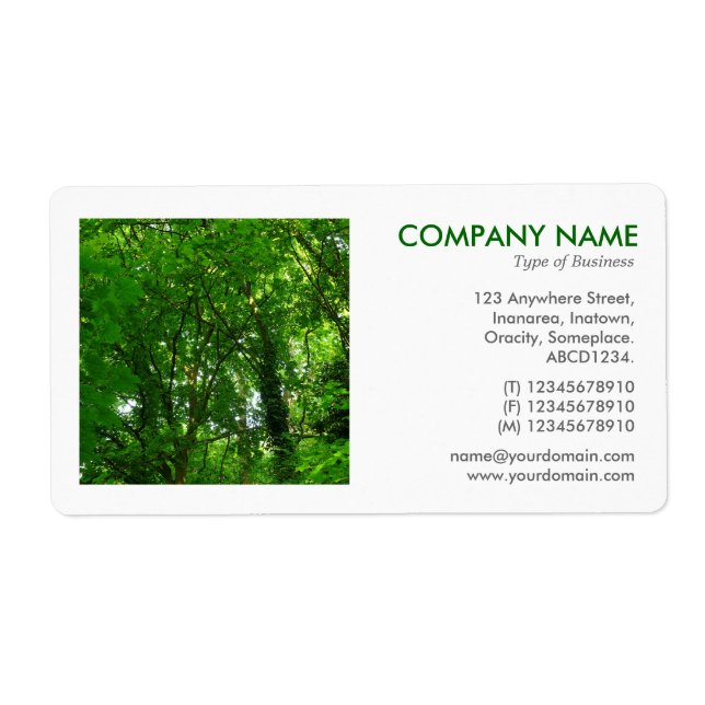 Square Photo - In the Trees (Front)