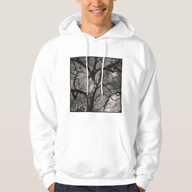 Square Photo - Magnolia Tree in Early Spring Hoodie (Front)