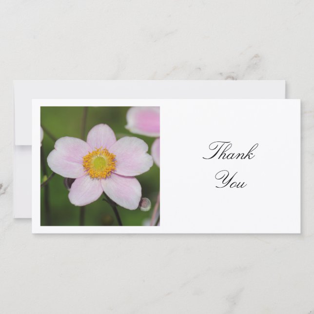 Square Photo - Mallow Thank You Card (Front)