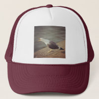 Square Photo - Squawking Seagull