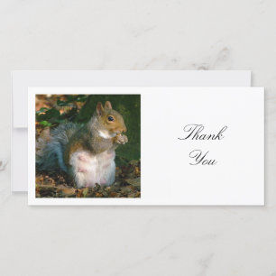 Square Photo - Squirrel Thank You Card