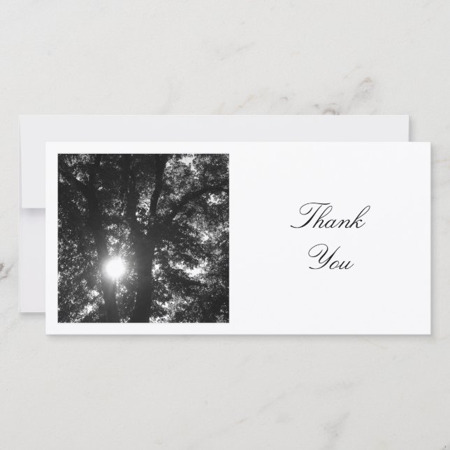 Square Photo - Sun Through the Trees (BW) Thank You Card (Front)