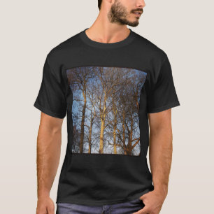Square Photo - Sunlit Winter Trees T-Shirt