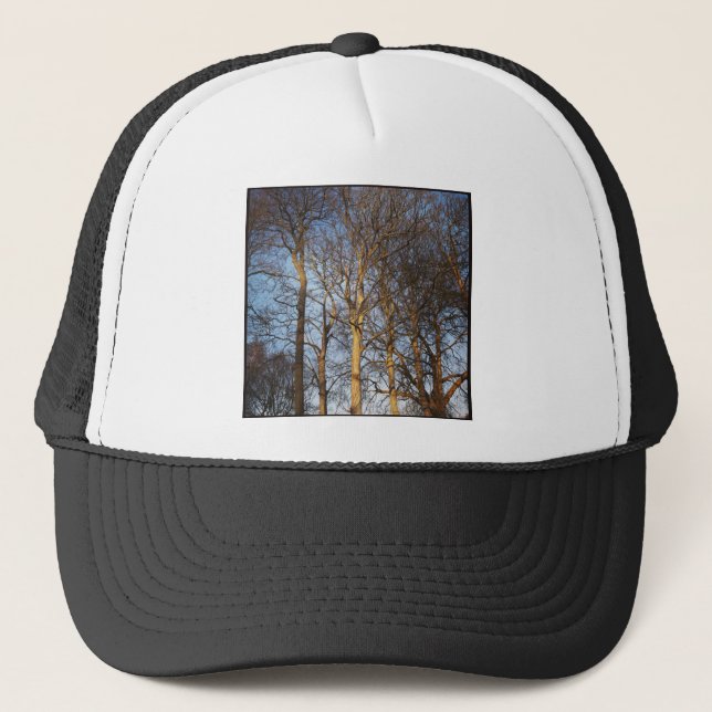 Square Photo - Sunlit Winter Trees Trucker Hat (Front)