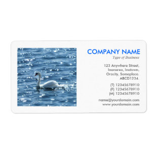 Square Photo - Swan