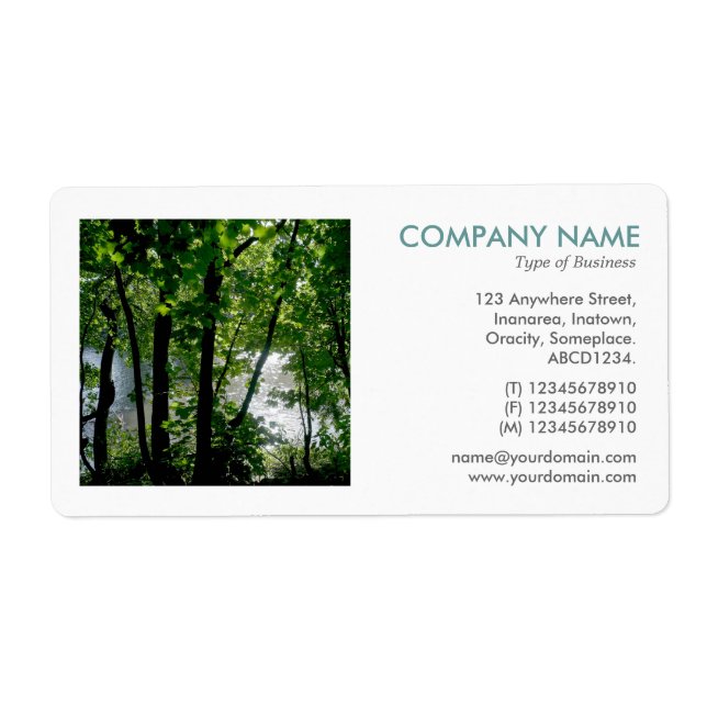 Square Photo - Tress by a River (Front)