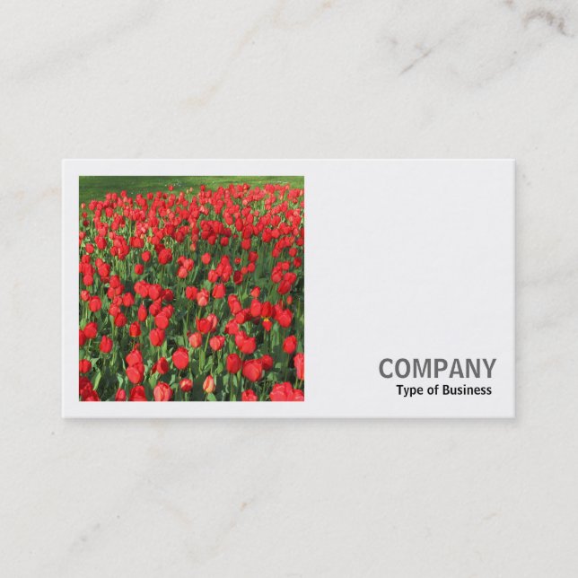 Square Photo (v2) - Bed of Red Tulips 02 Business Card (Front)