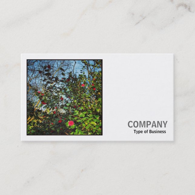Square Photo (v2) - Camellia Bush Business Card (Front)