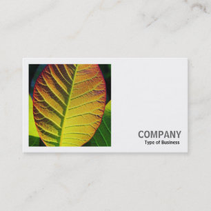 Square Photo (v2) - Colourful Leaf Business Card