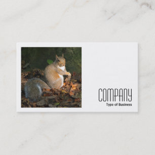 Square Photo (v2) - Grey Squirrel Business Card