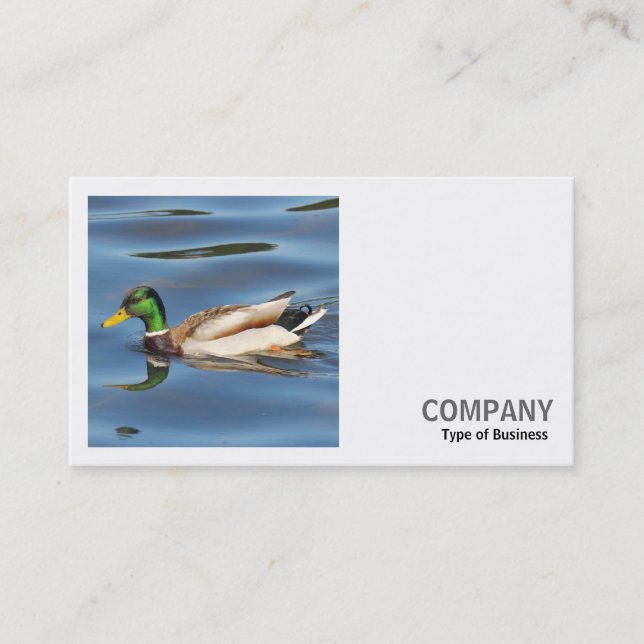 Square Photo (v2) - Mallard Duck Business Card (Front)