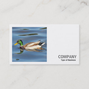 Square Photo (v2) - Mallard Duck Business Card