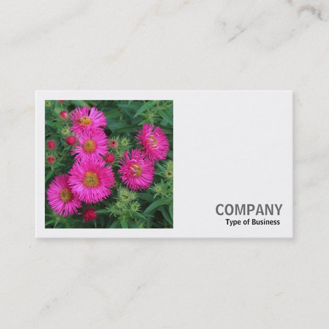 Square Photo (v2) - Michaelmas Daisies Business Card (Front)