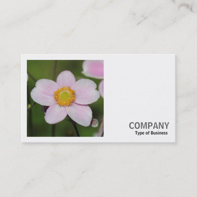 Square Photo (v2) - Pink Anemone Business Card (Front)