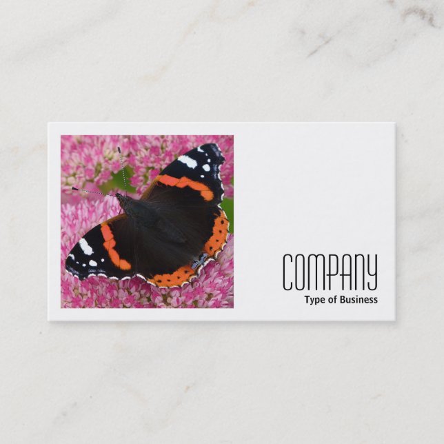 Square Photo (v2) - Red Admiral on Sedum Business Card (Front)