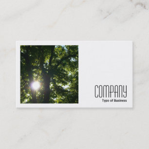 Square Photo (v2) - Sun Through Trees Business Card