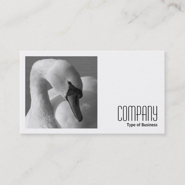 Square Photo (v2) - Swan B&W Business Card (Front)