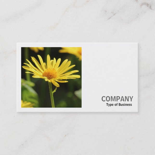 Square Photo (v2) - Yellow Daisy Business Card (Front)