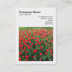 Square Photo (v3) - Bed of Red Tulips 01 Business Card