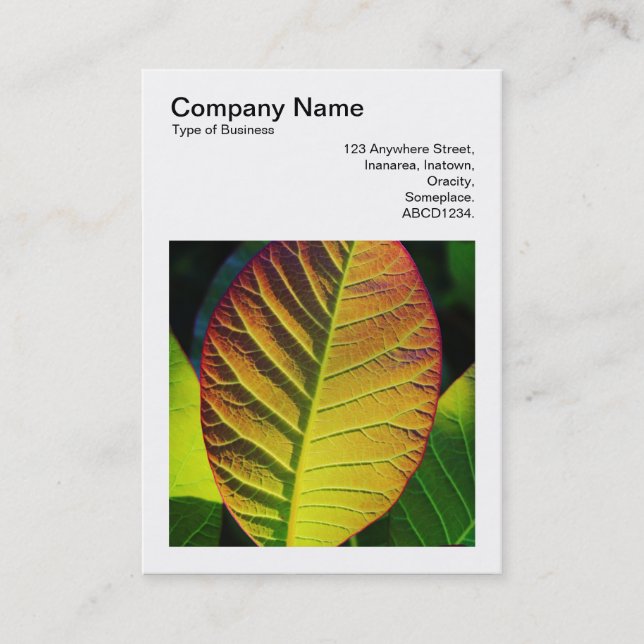 Square Photo (v3) - Colourful Leaf Business Card (Front)