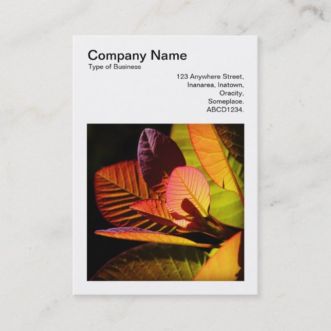 Square Photo (v3) - Colourful Leaves Business Card (Front)