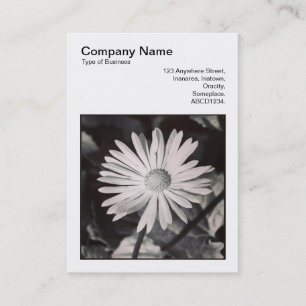 Square Photo (v3) - Daisy Business Card