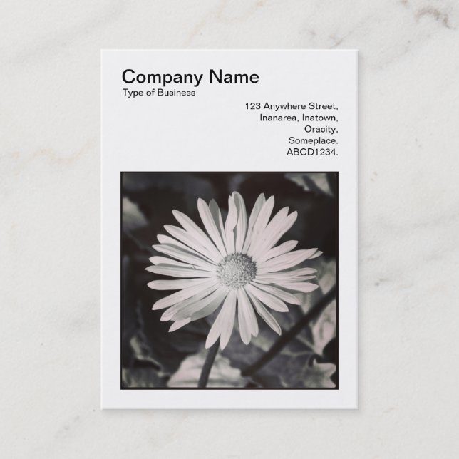 Square Photo (v3) - Daisy Business Card (Front)