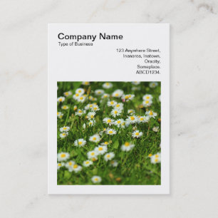 Square Photo (v3) - Daisy Meadow Business Card