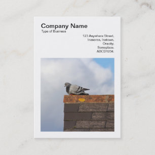 Square Photo (v3) - Good Morning Pigeon Business Card