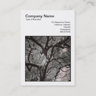 Square Photo (v3) - Magnolia Tree Branches Business Card