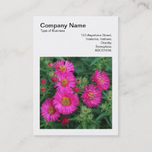 Square Photo (v3) - Michaelmas Daisies 01 Business Card