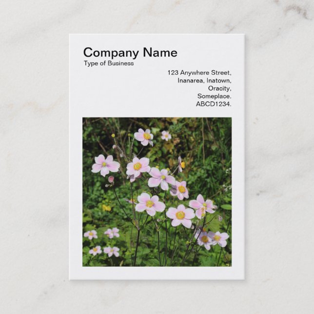 Square Photo (v3) - Pink Anemones Business Card (Front)