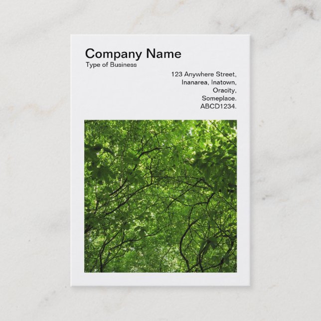 Square Photo (v3) - Summer in the Trees Business Card (Front)