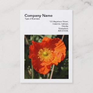 Square Photo (v3) - Welsh Poppy Business Card