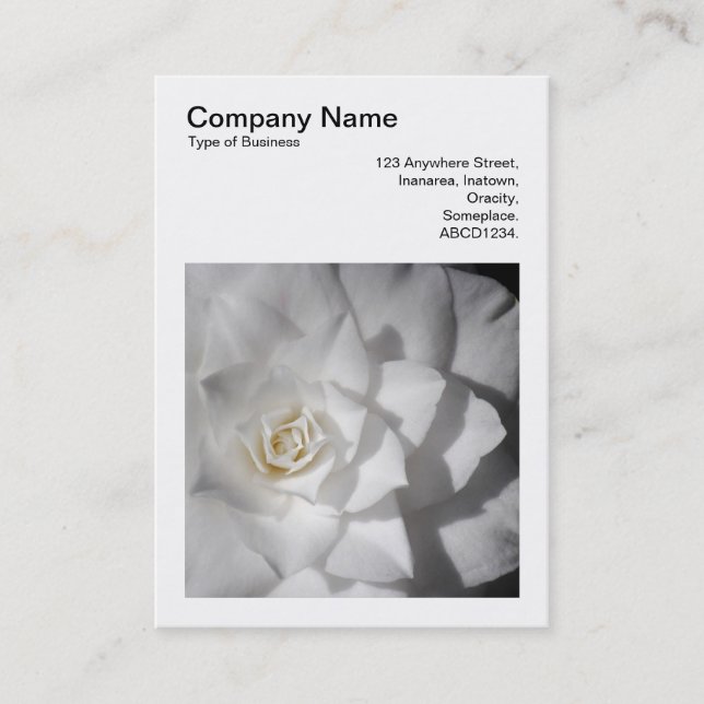 Square Photo (v3) - White Camellia Business Card (Front)