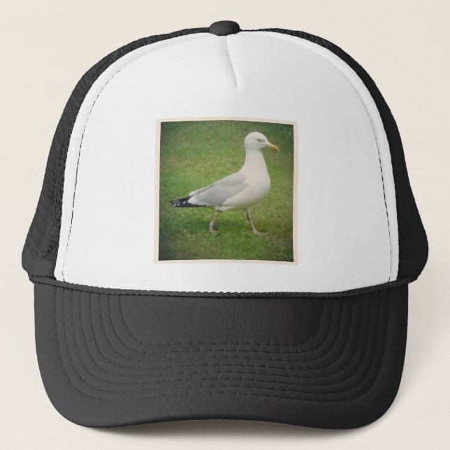 Square Photo - Walking Seagull Trucker Hat (Front)